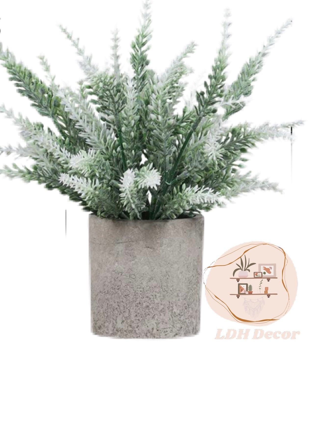 White Winter Small Plant