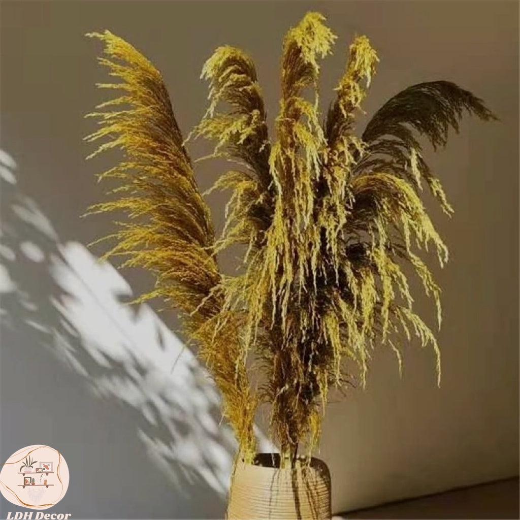 Colorful Durable Pampas Grass
