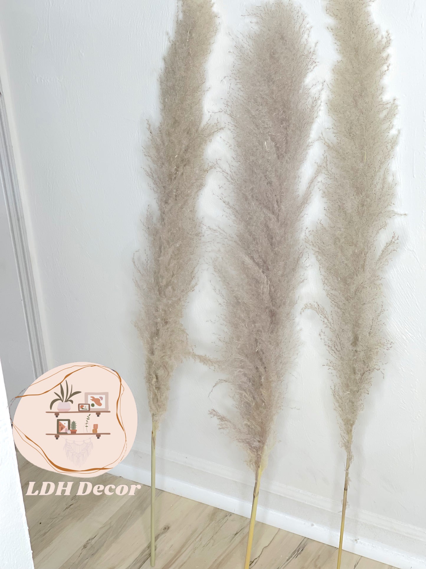 Large Natural Grey Pampas Grass