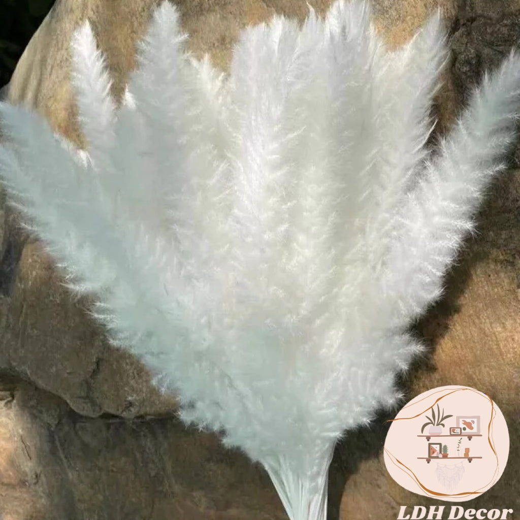 White Pampas Grass