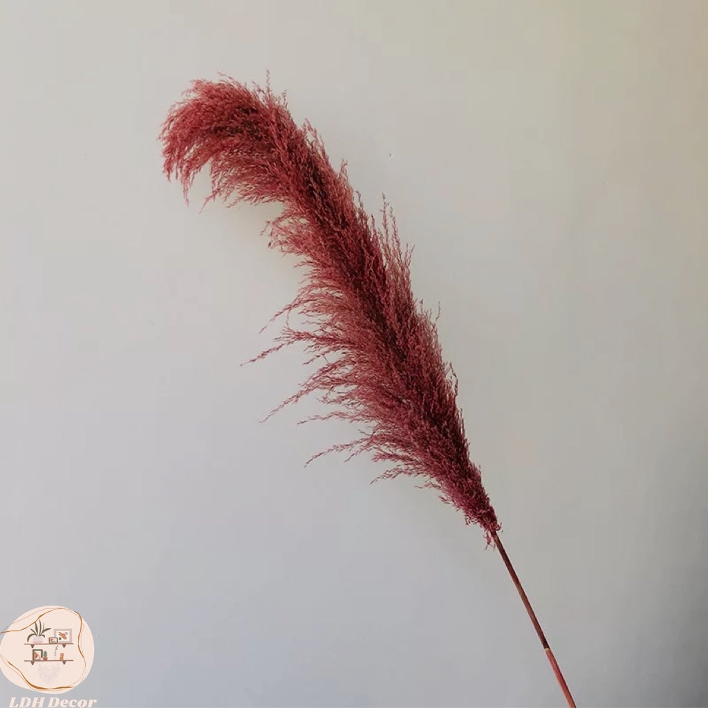 Colorful Durable Pampas Grass