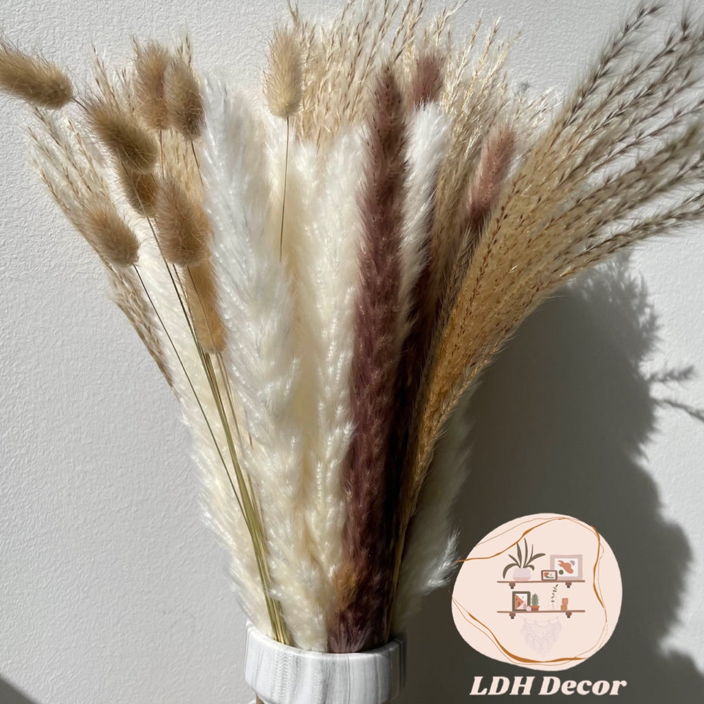 White Pampas Grass