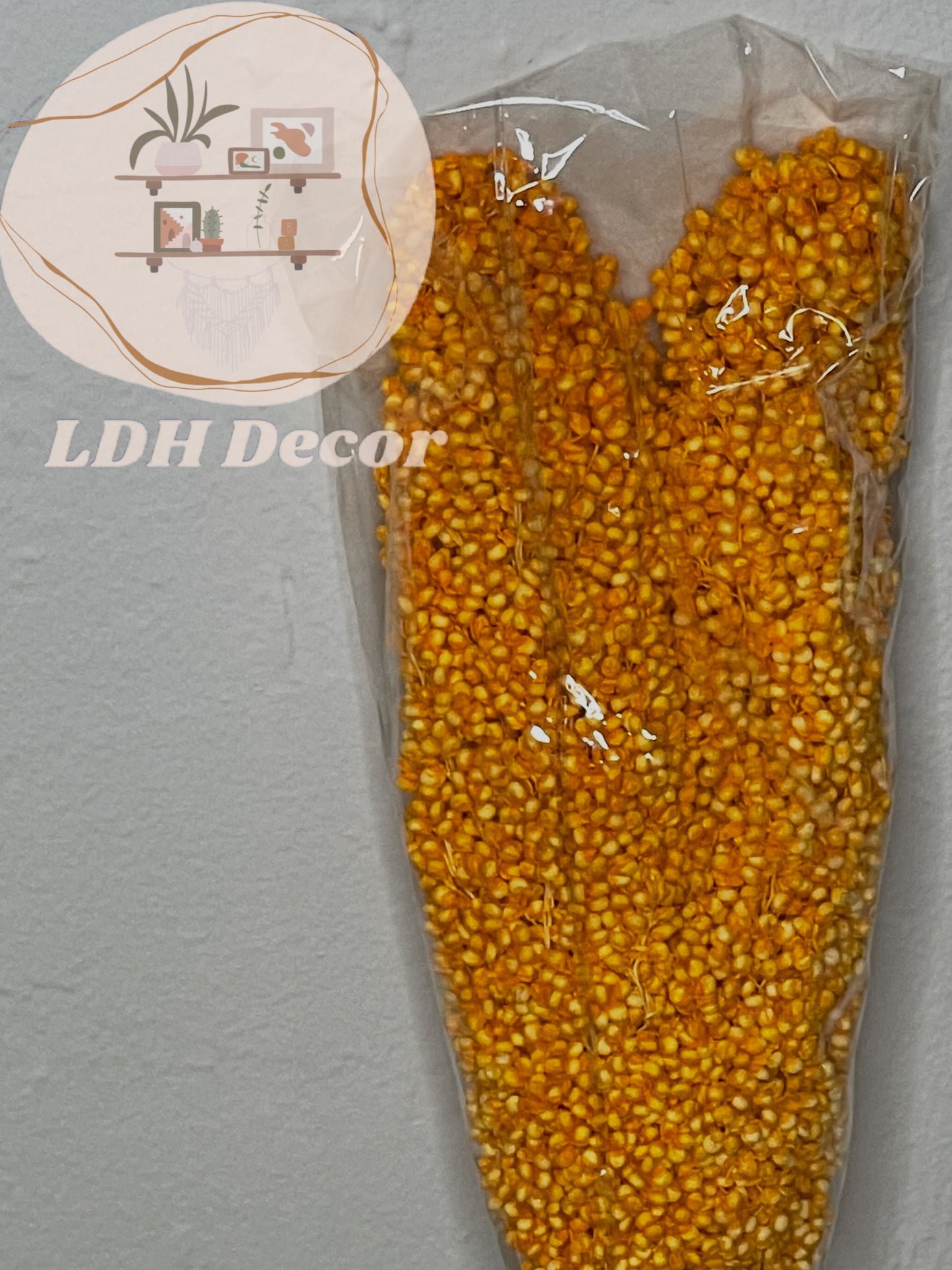 Large Dried Natural Sorghum Flowers