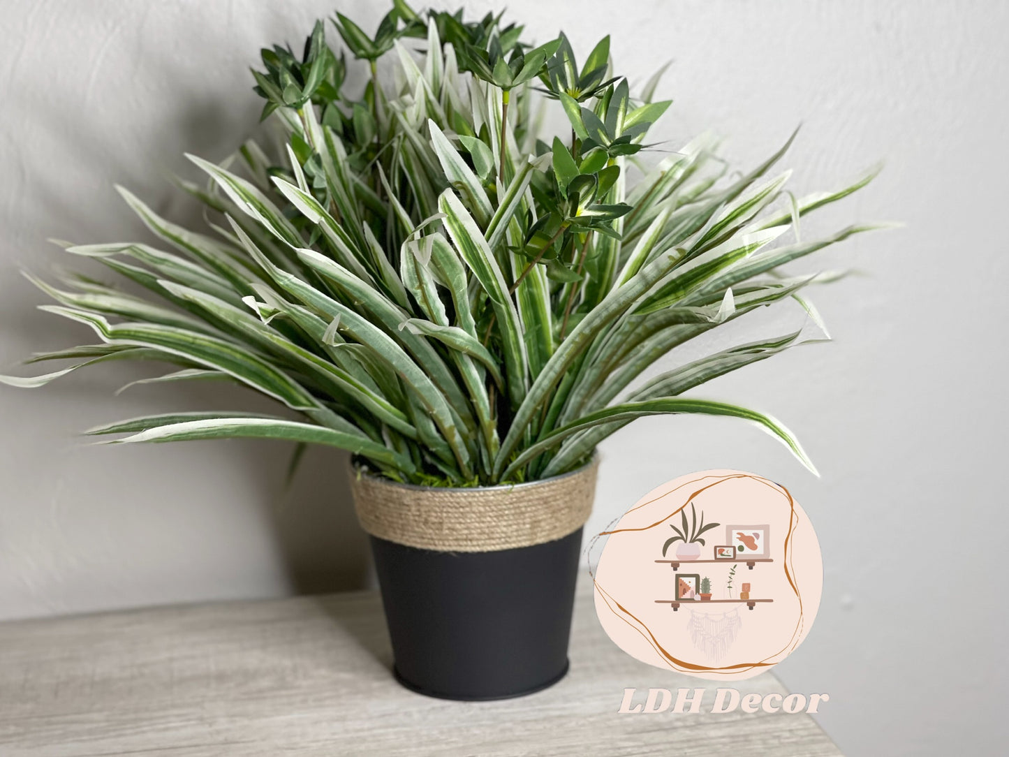 Green & White Traditional Plant