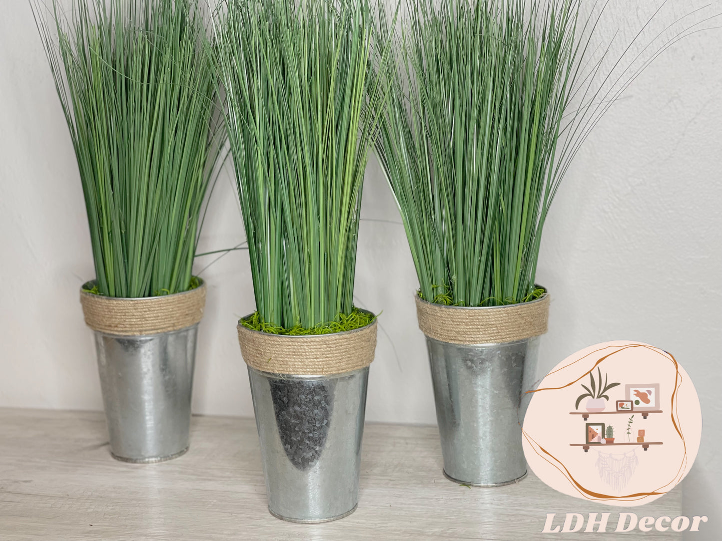 Classic Farmhouse Plant