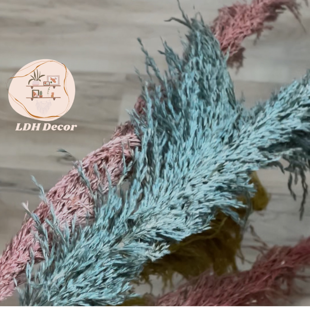 Colorful Durable Pampas Grass