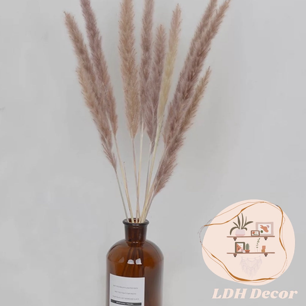 Natural Brown Pampas Grass