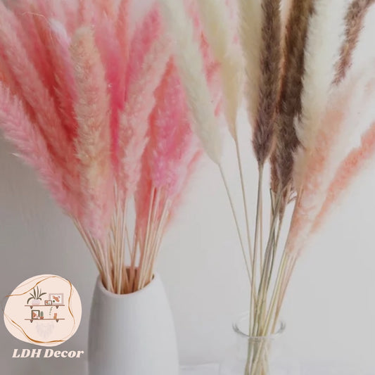 Pink Pampas Grass