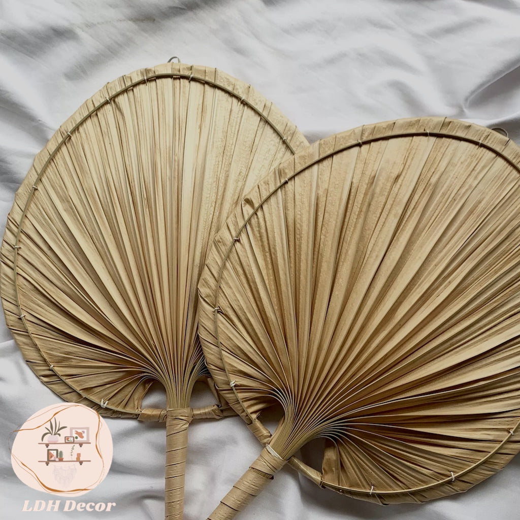 Large Dried Palm Leaves Fan