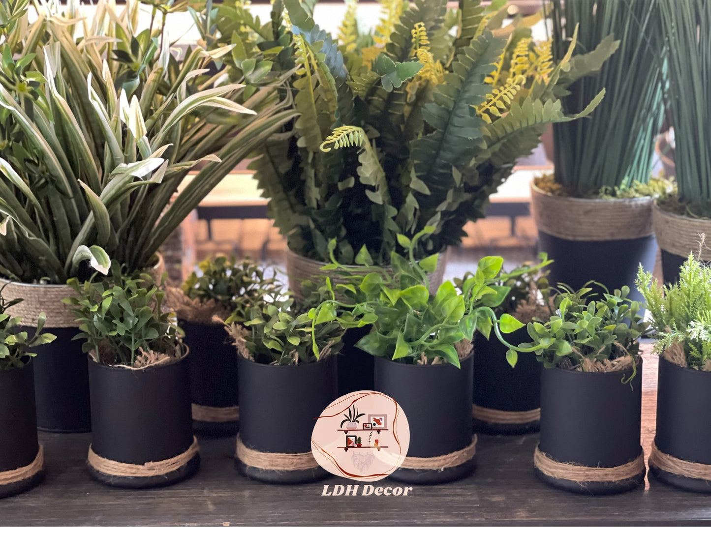 True Green Plant