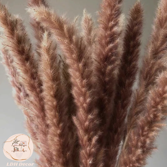 Natural Brown Pampas Grass
