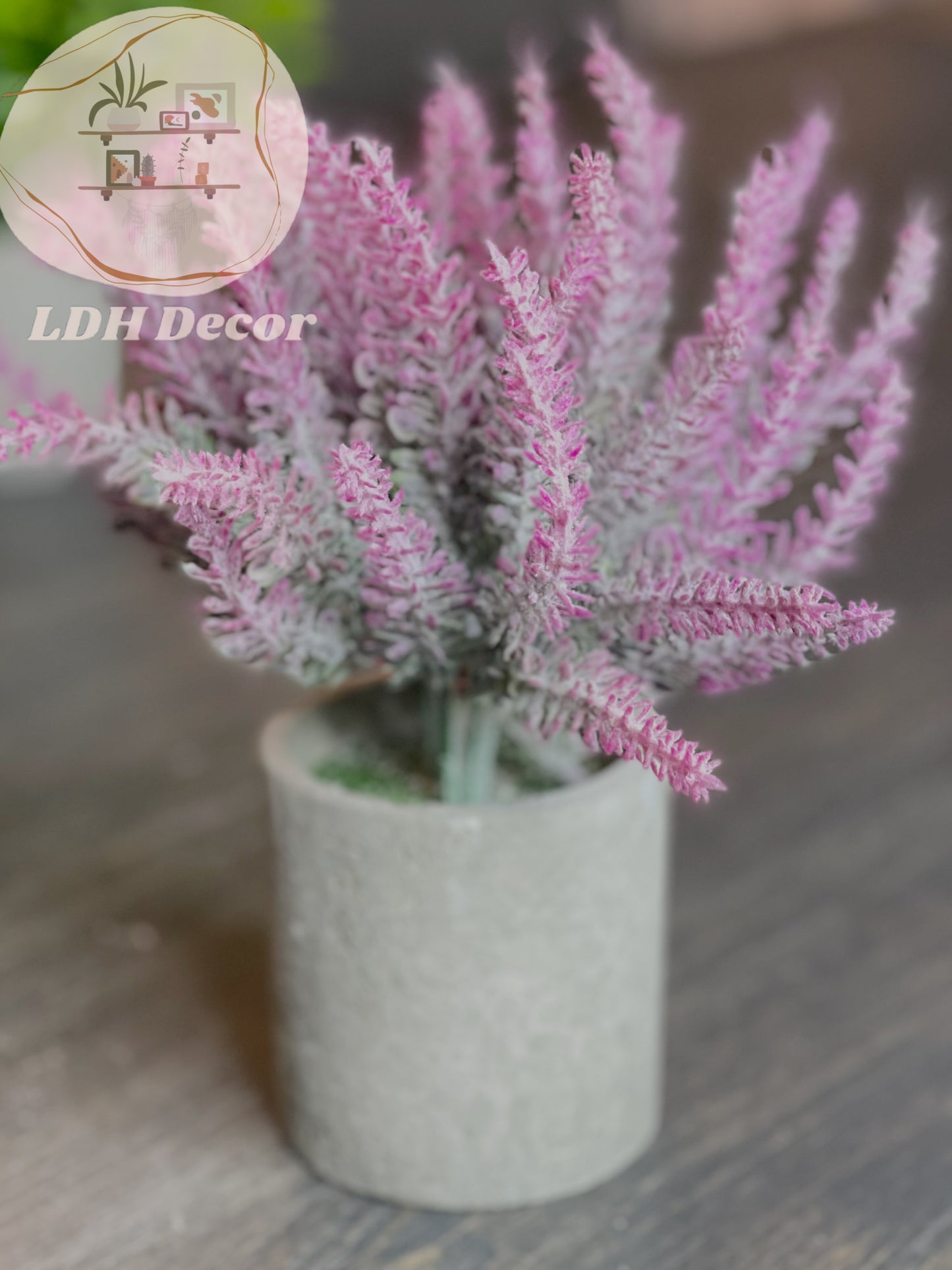 Pink Destiny Small Plant