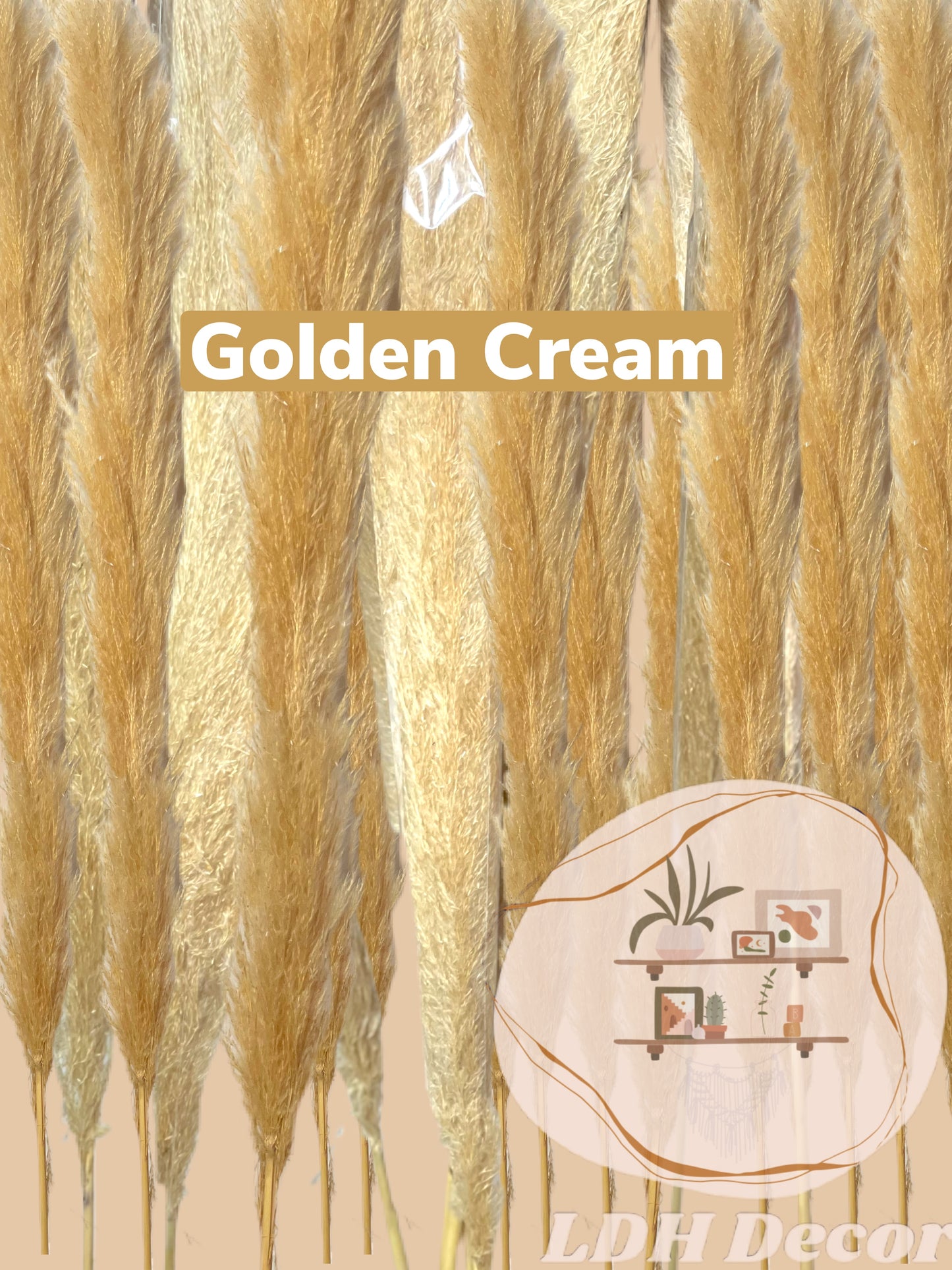 Large Golden Pampas Grass