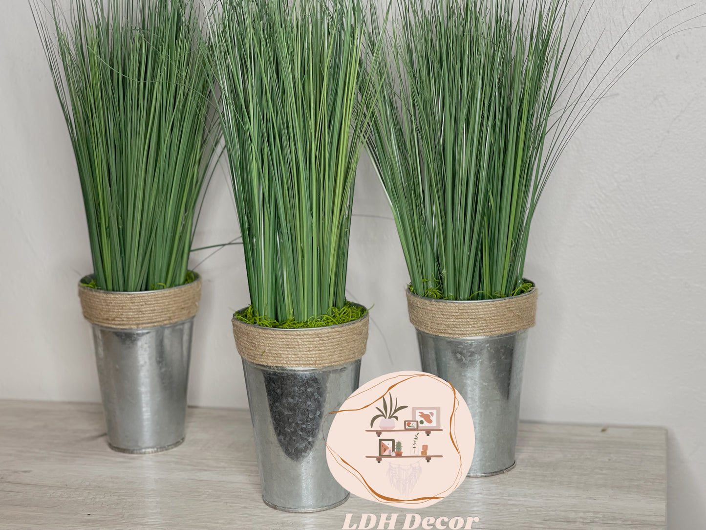 Classic Farmhouse Plant