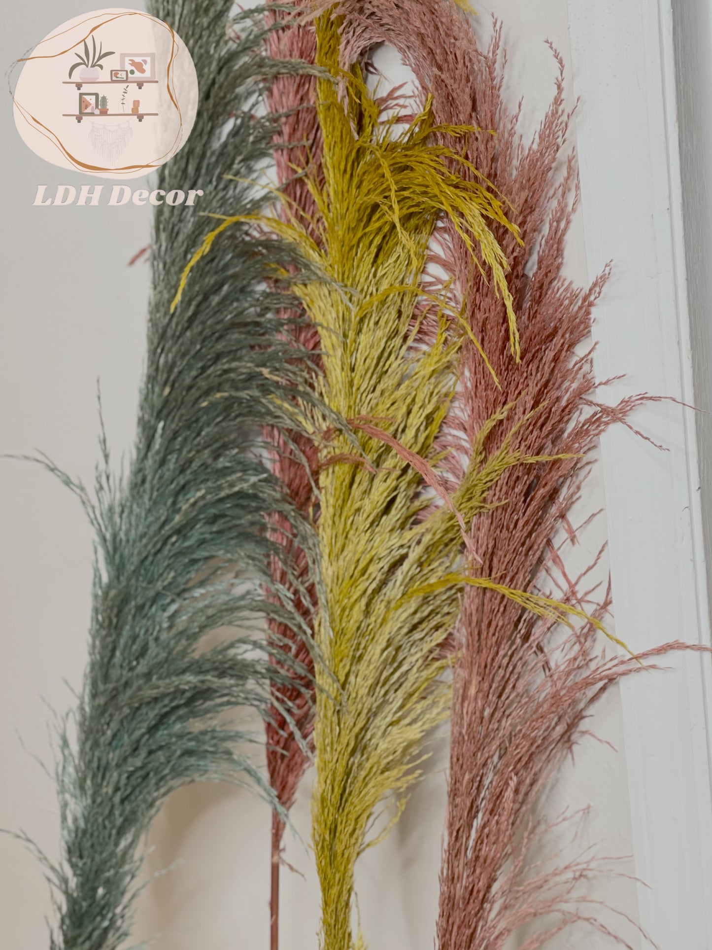 Colorful Durable Pampas Grass