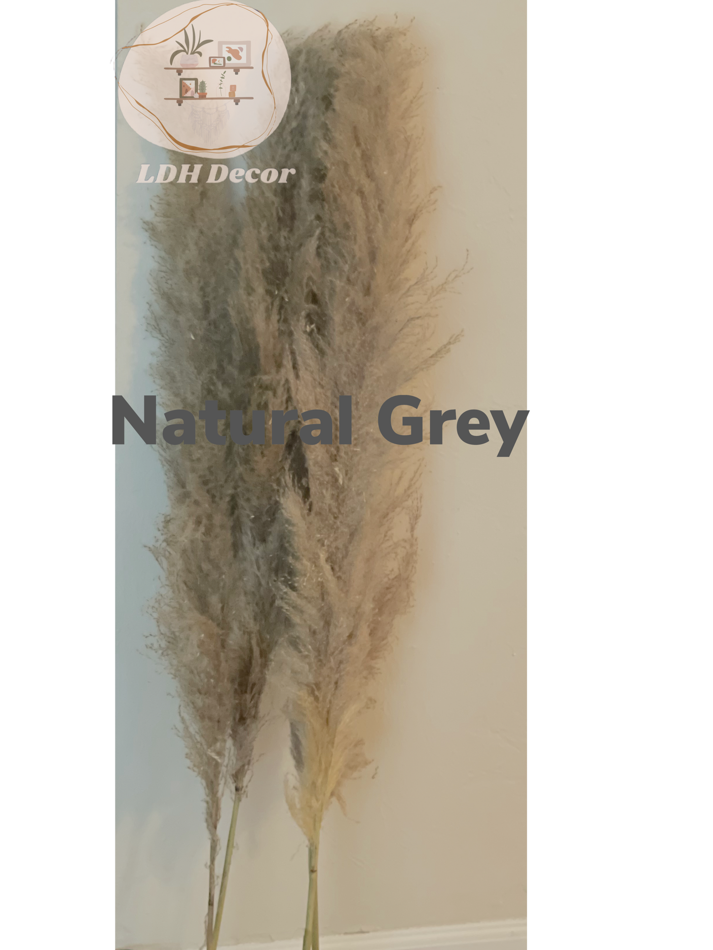 Large Natural Grey Pampas Grass