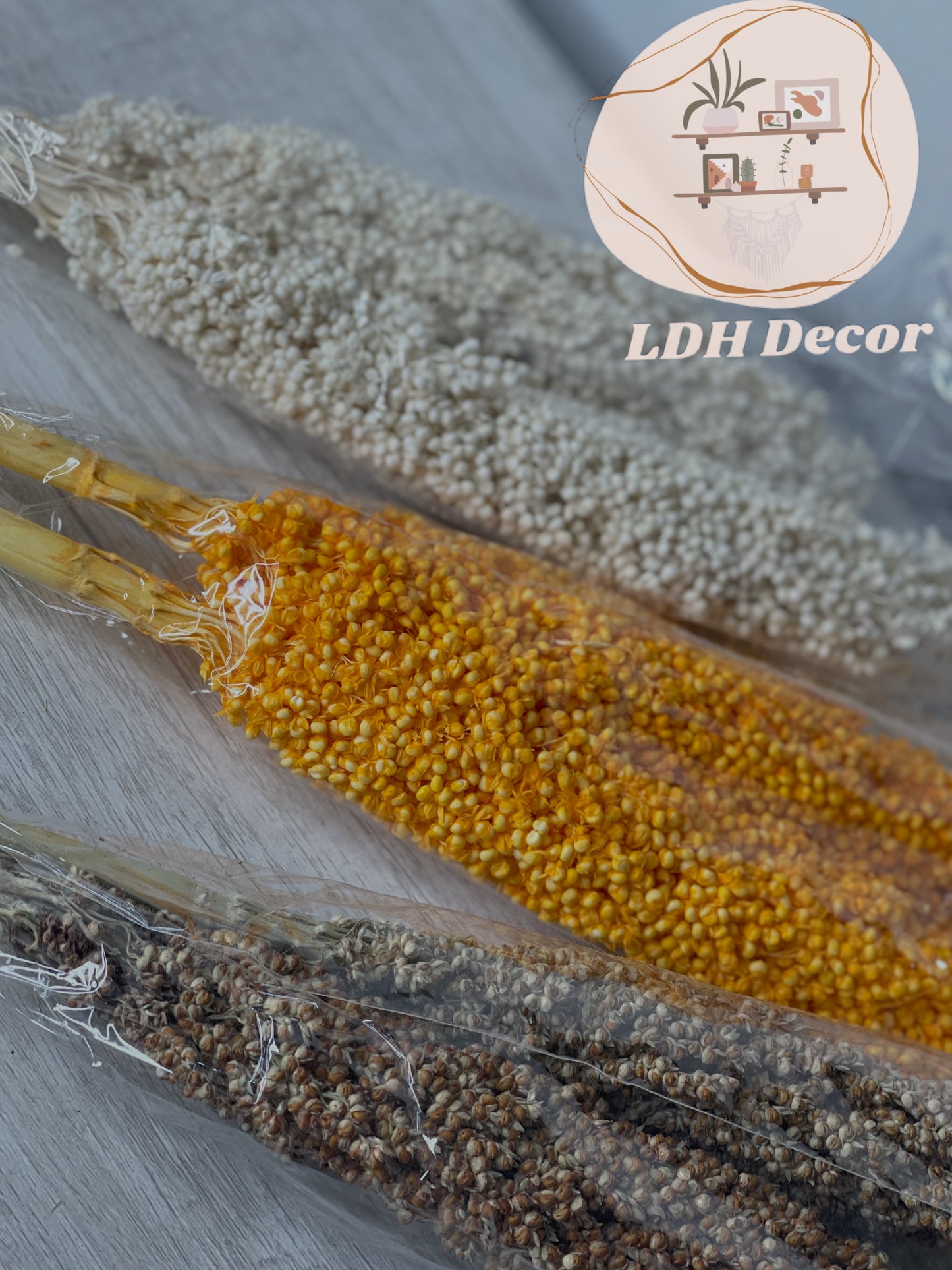 Large Dried Natural Sorghum Flowers