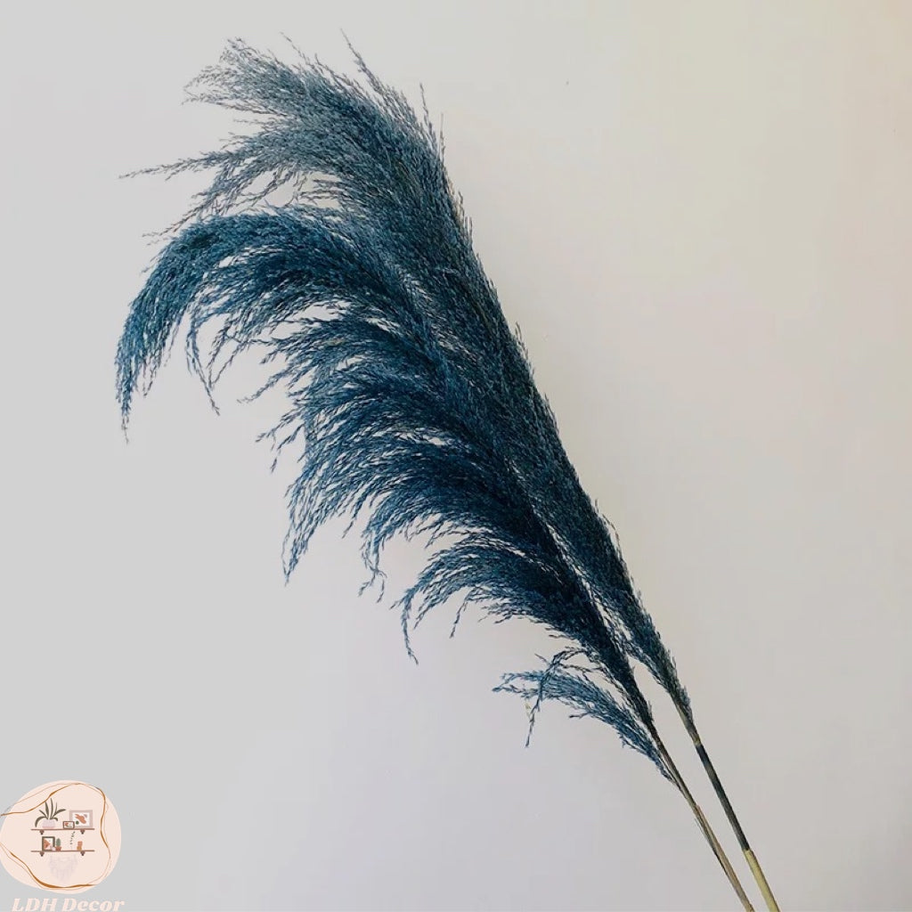 Colorful Durable Pampas Grass