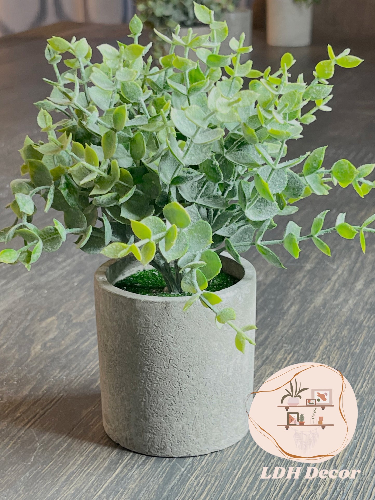 Lightweight Winter Green Small Plant