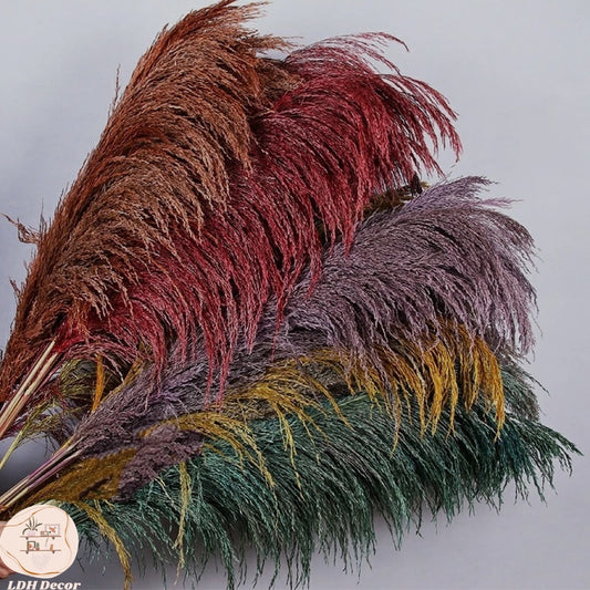 Colorful Durable Pampas Grass
