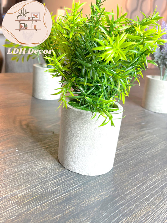 Cannabis Inspired Small Plant