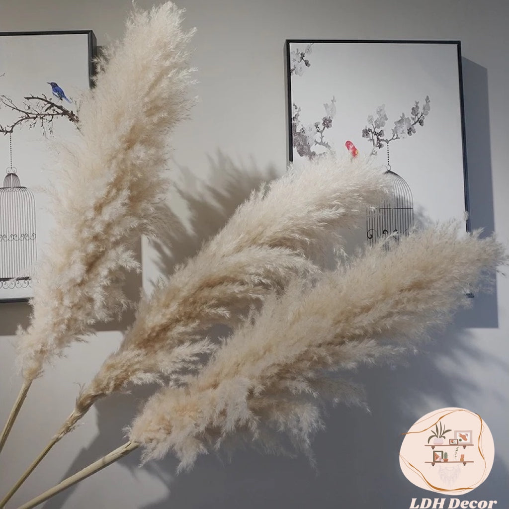 Large Natural Grey Pampas Grass