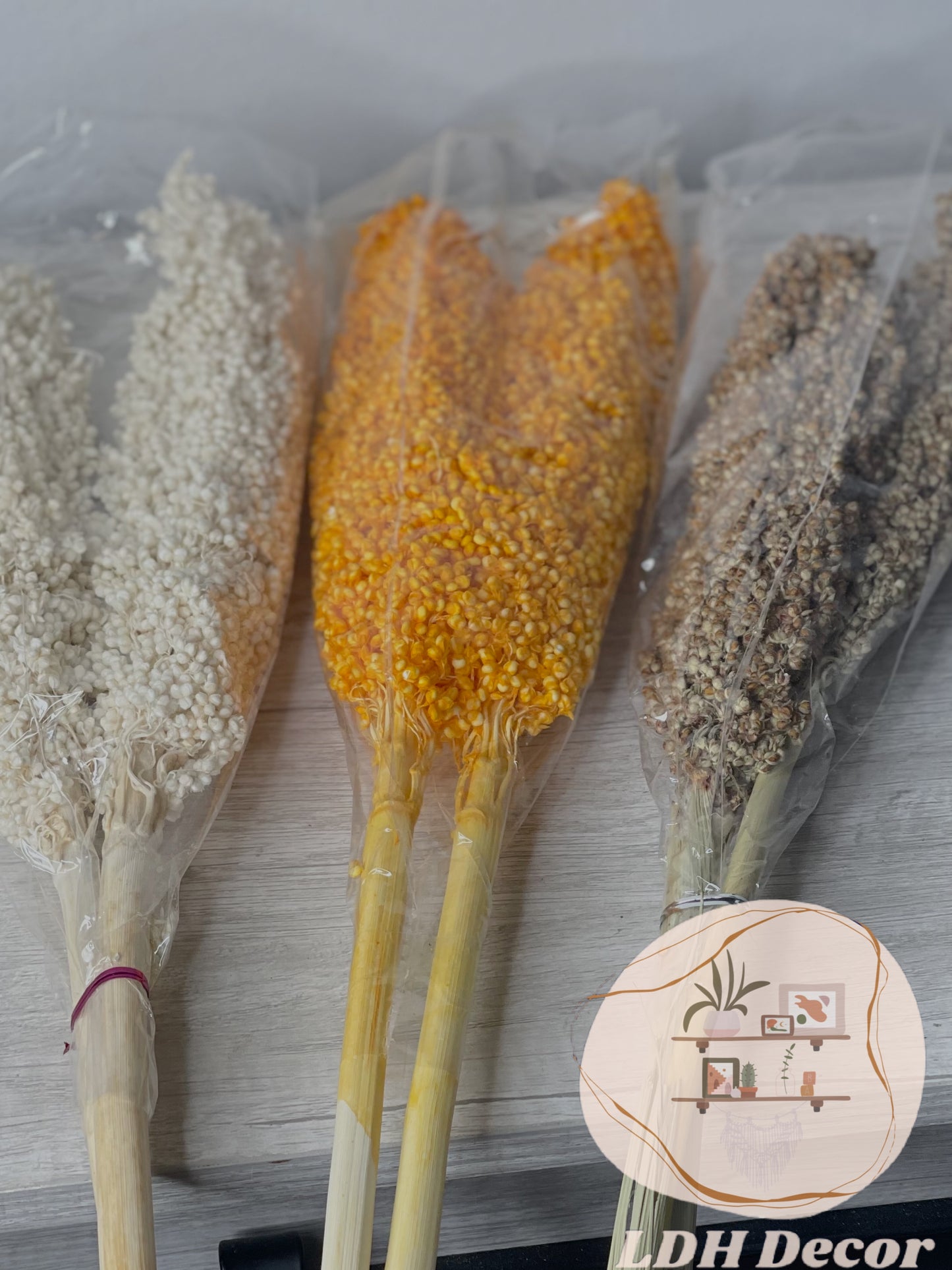 Large Dried Natural Sorghum Flowers