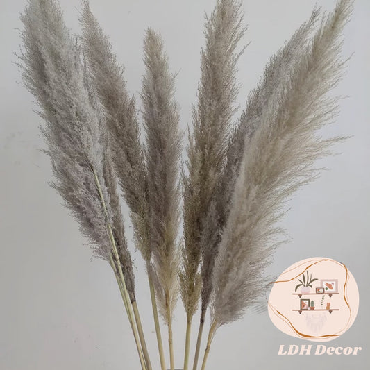 Large Natural Grey Pampas Grass