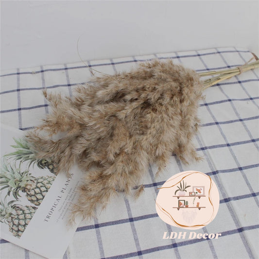 Natural Grey Pampas Grass