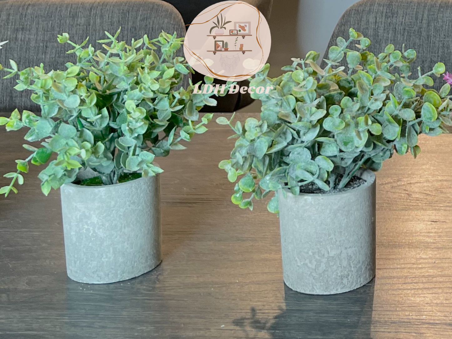 Lightweight Winter Green Small Plant