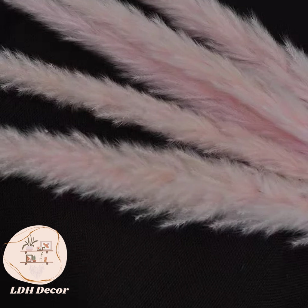 Pink Pampas Grass