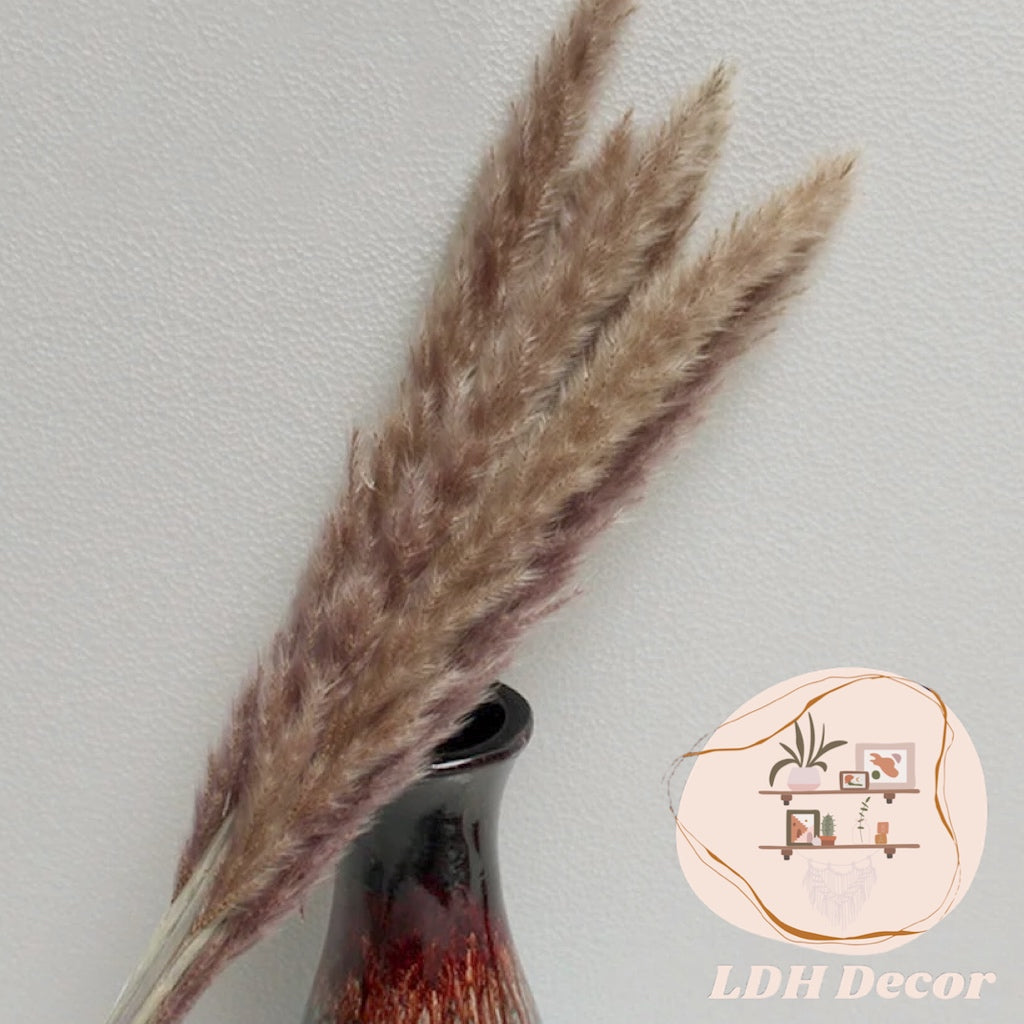 Natural Brown Pampas Grass