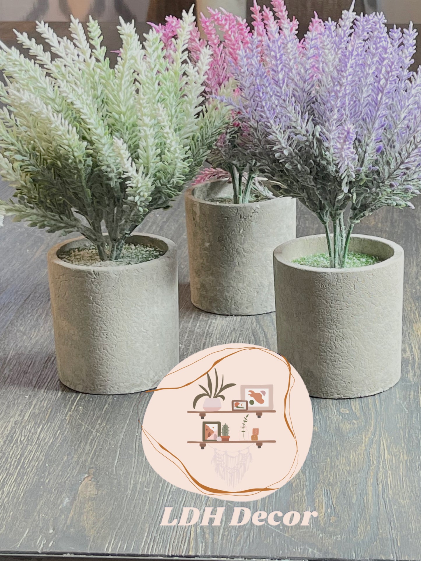 Pink Destiny Small Plant