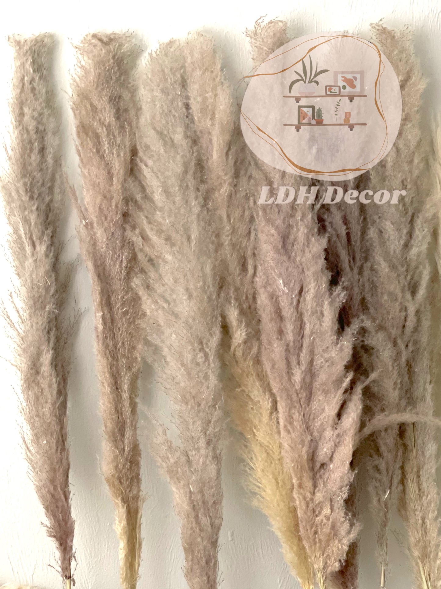 Large Natural Grey Pampas Grass