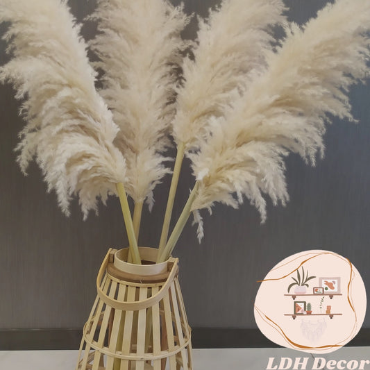 Large Lush Cream Pampas Grass