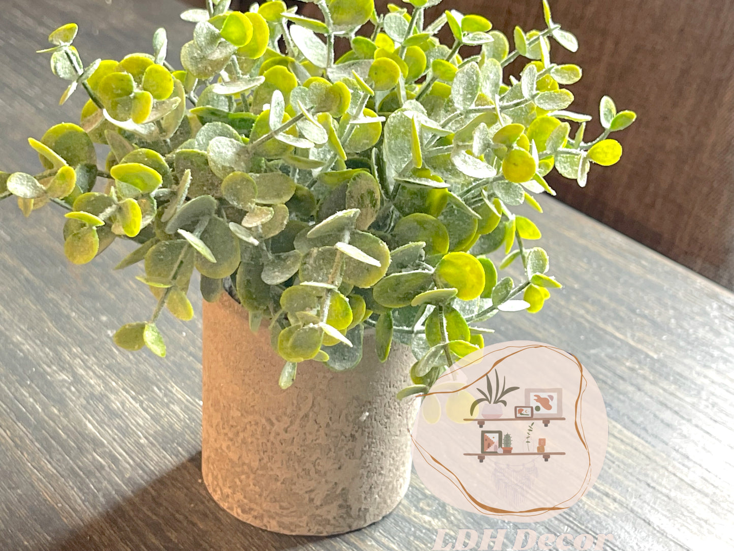 Winter Green Small Plant