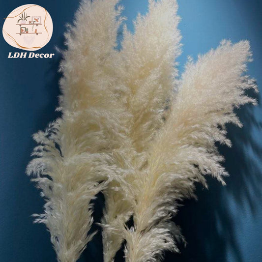 Large Lush Cream Pampas Grass