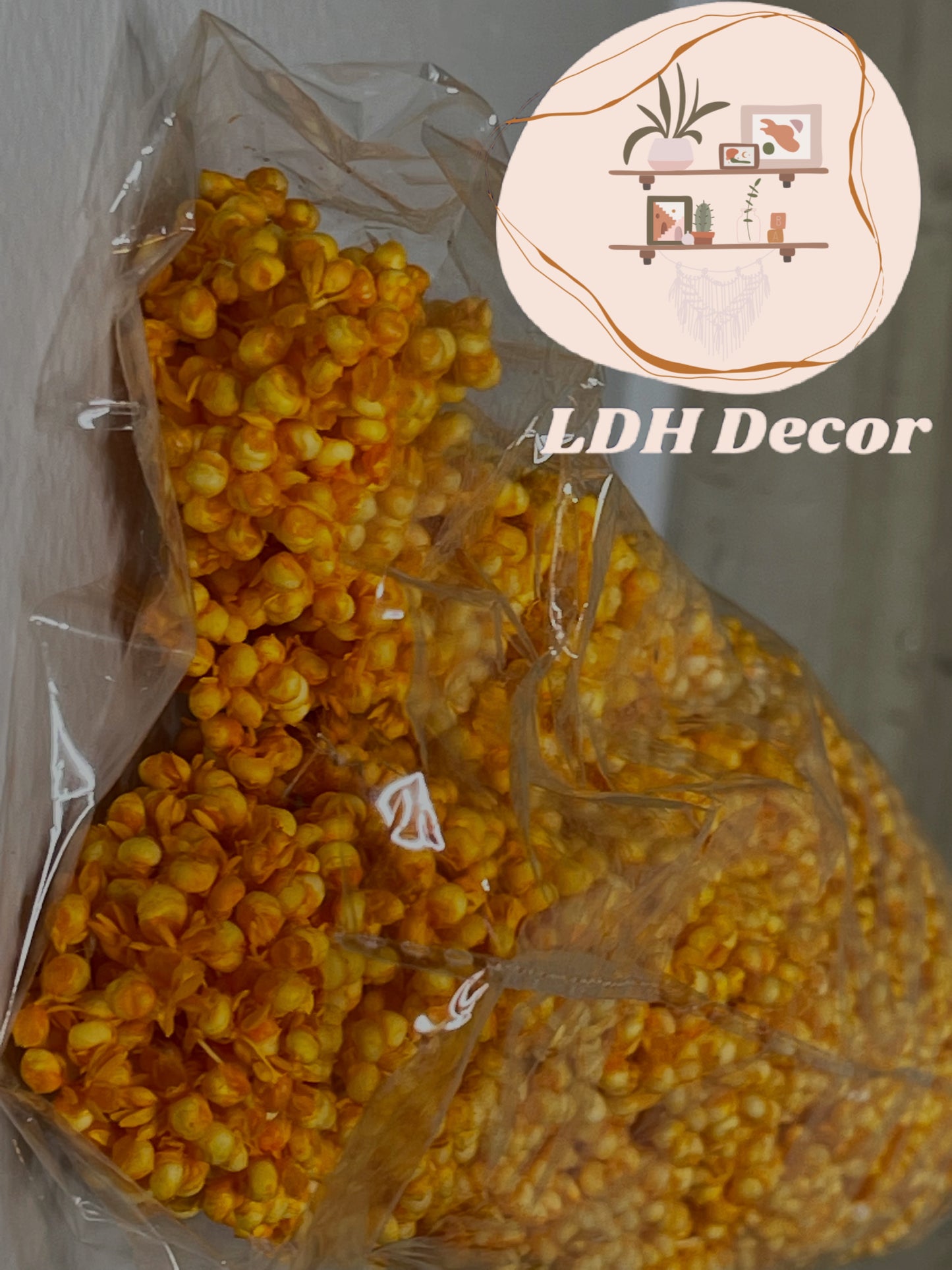 Large Dried Natural Sorghum Flowers