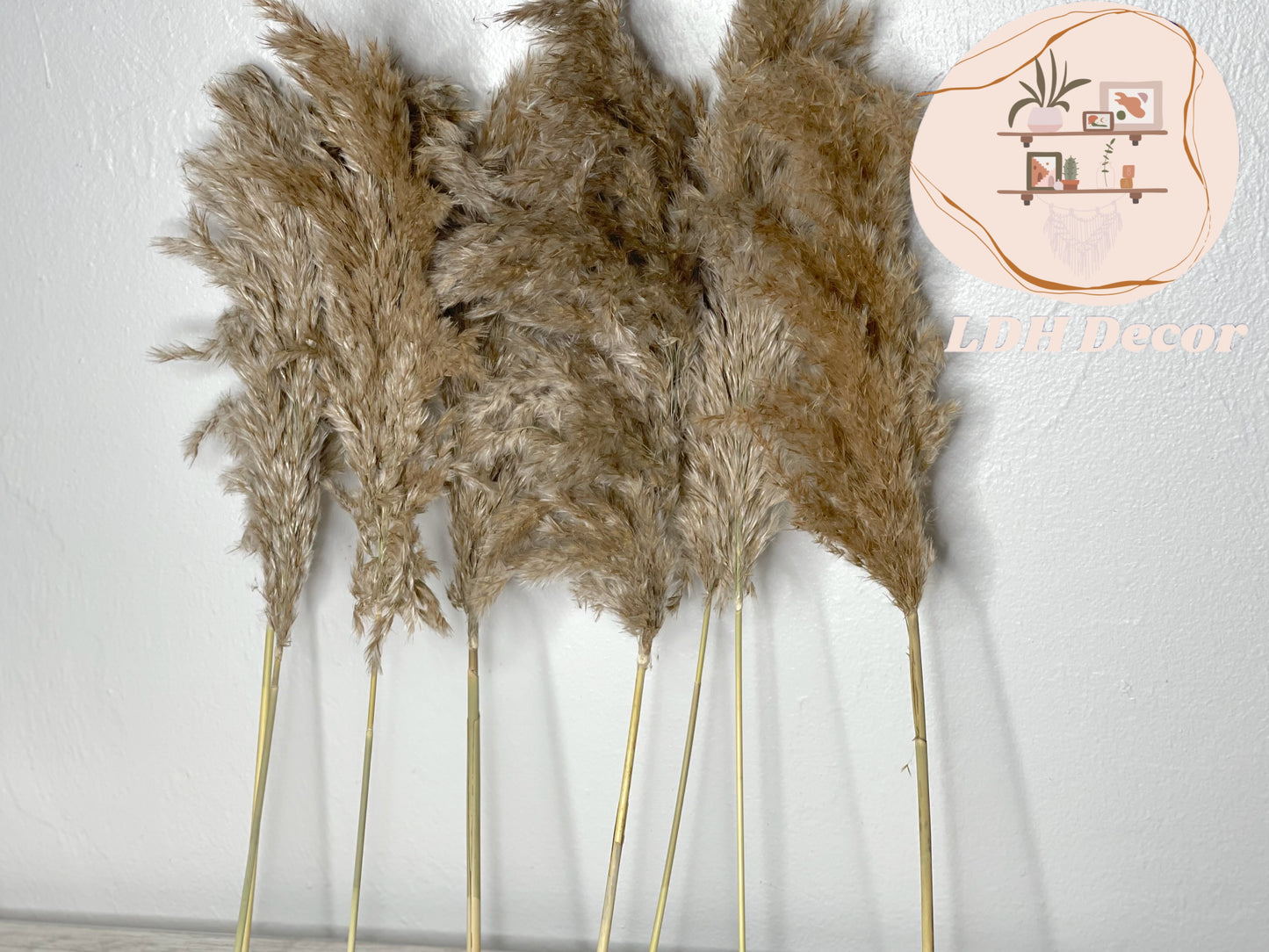 Natural Grey Pampas Grass
