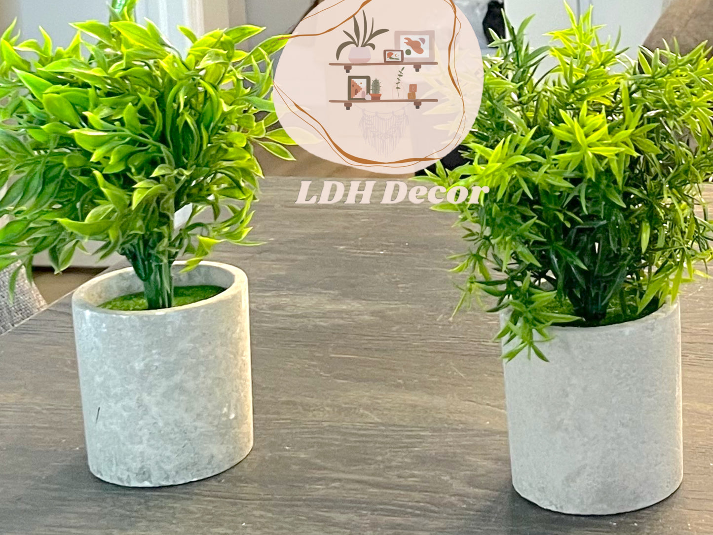 Cannabis Inspired Small Plant