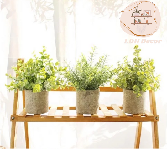 White Winter Small Plant