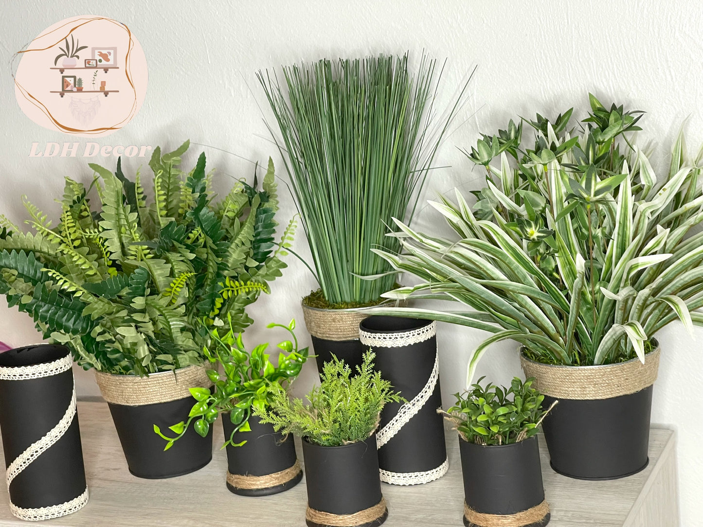Green & White Traditional Plant