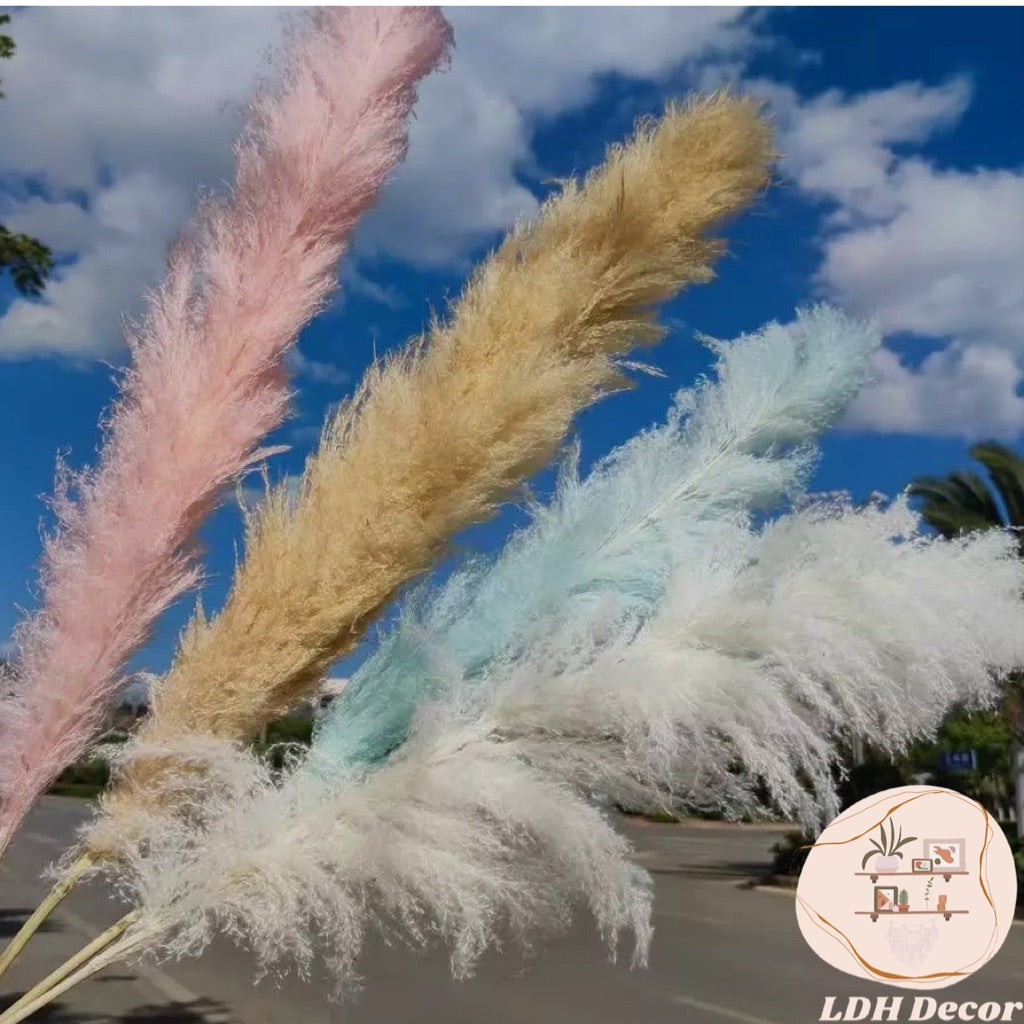 Large Golden Pampas Grass