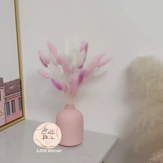 Pink Bunny Tail Grass