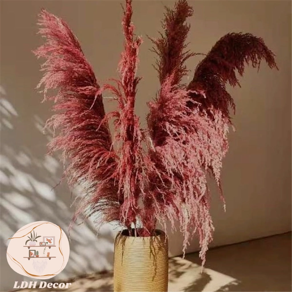 Colorful Durable Pampas Grass