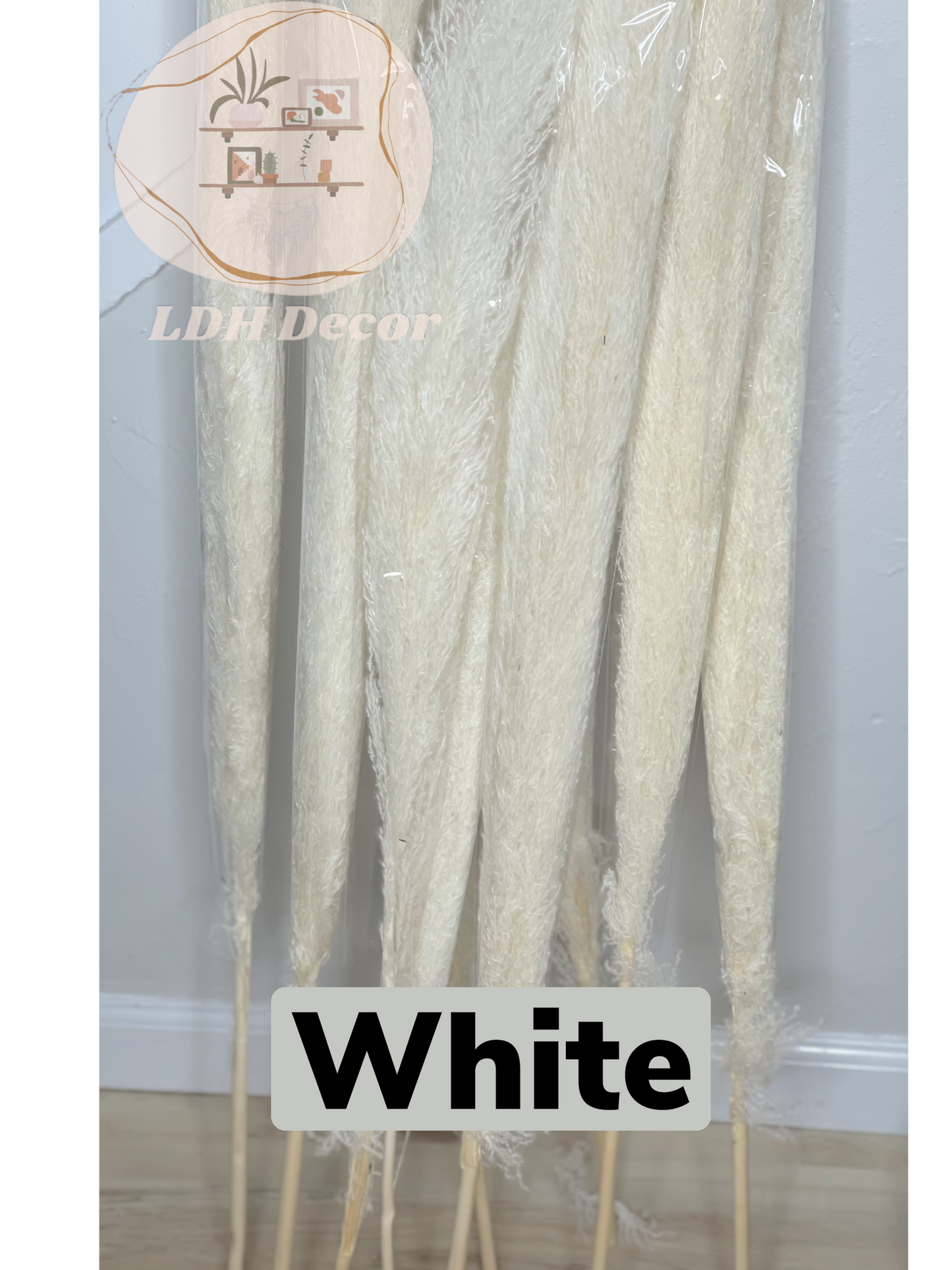 Large White Pampas Grass