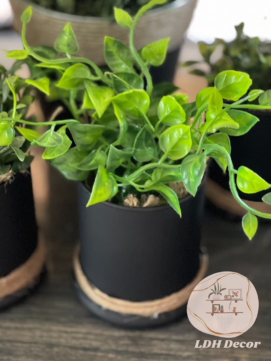 Green Leaf Custom Plant