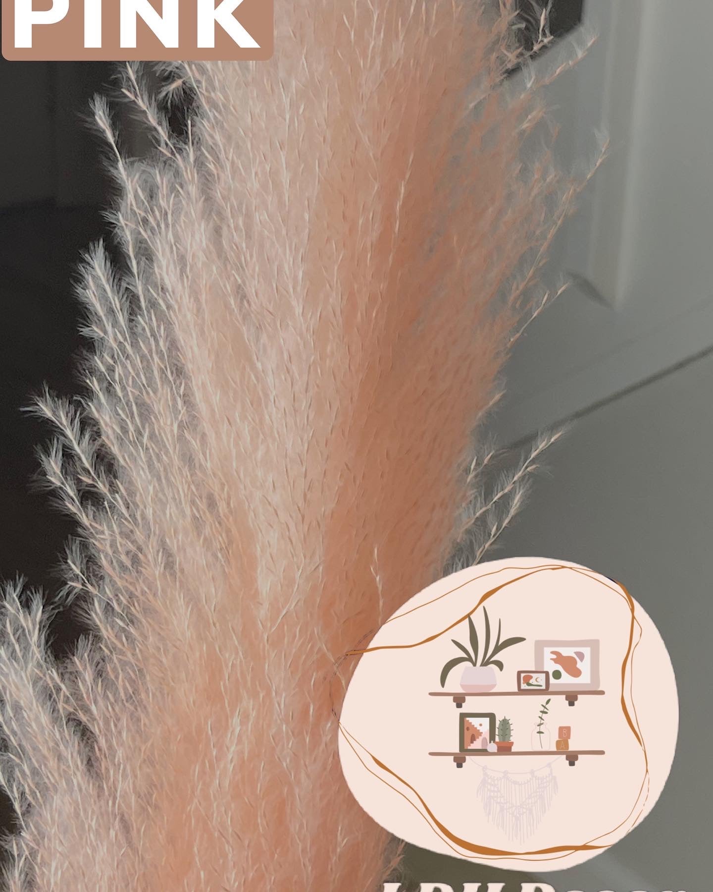 Large Light Pink Pampas Grass