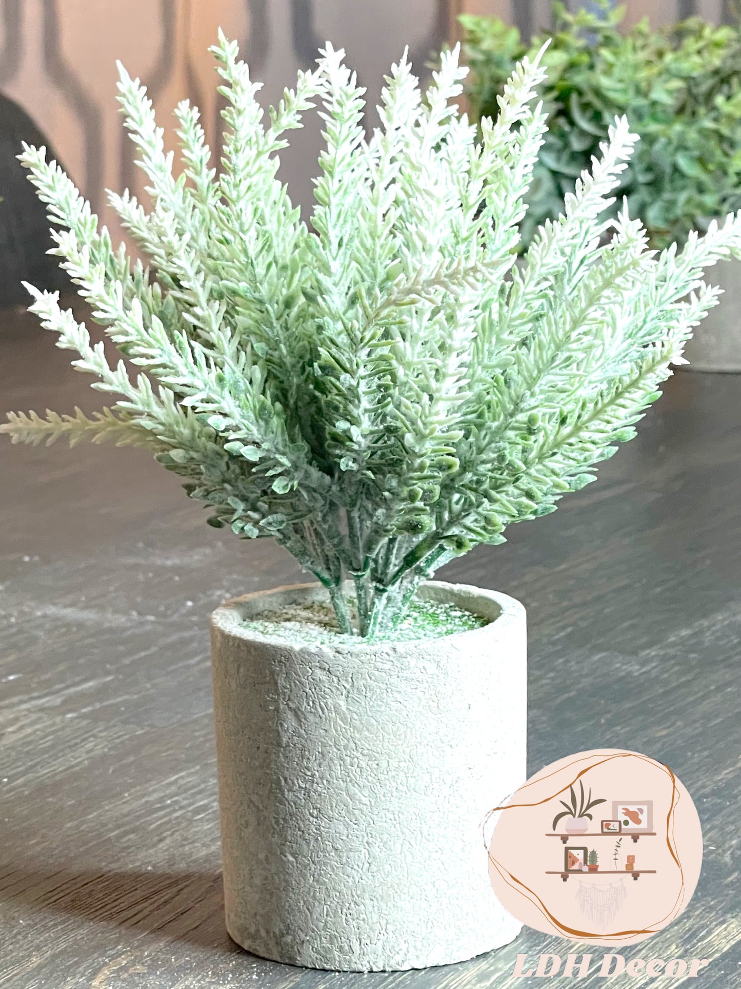 White Winter Small Plant