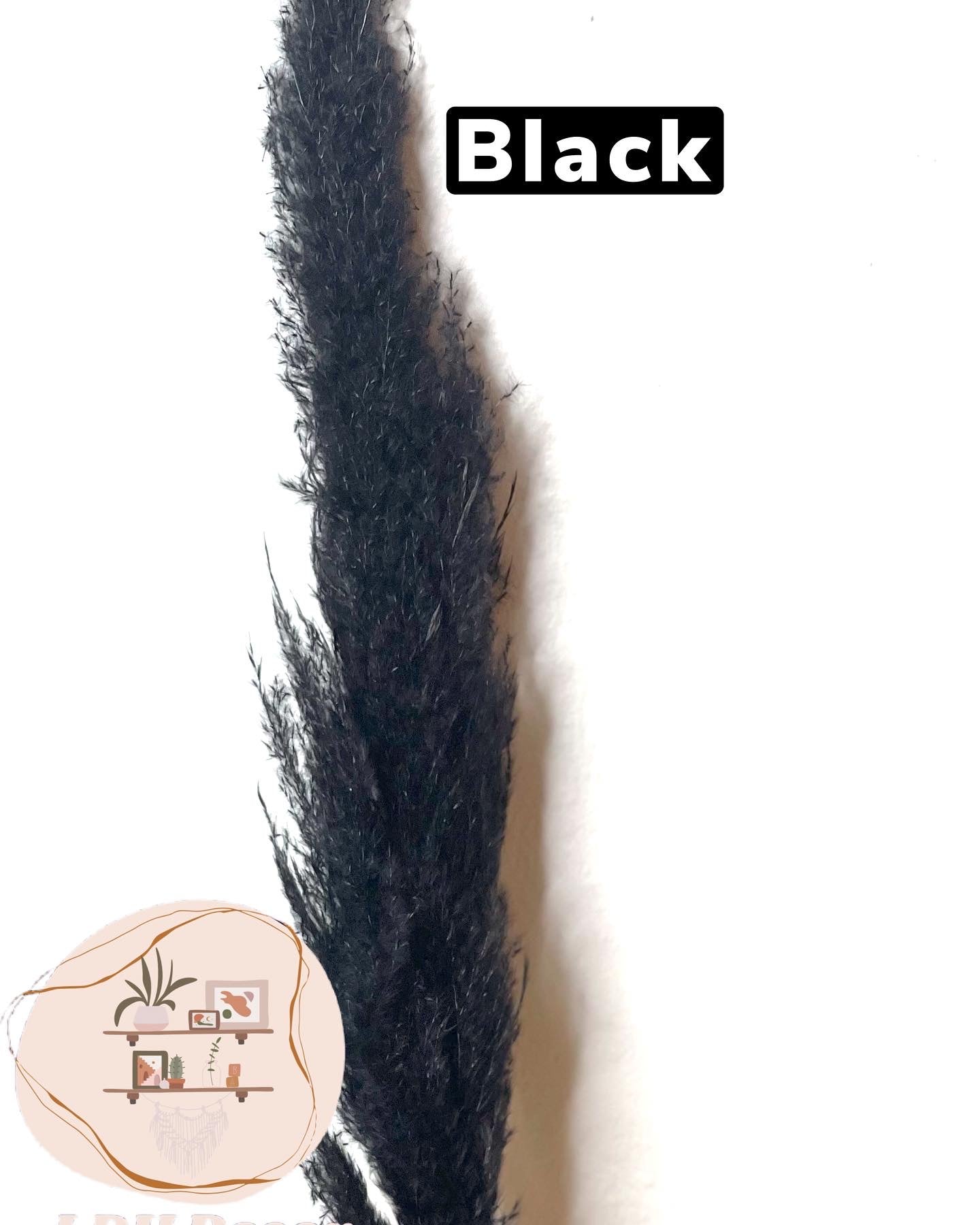 Large Black Pampas Grass